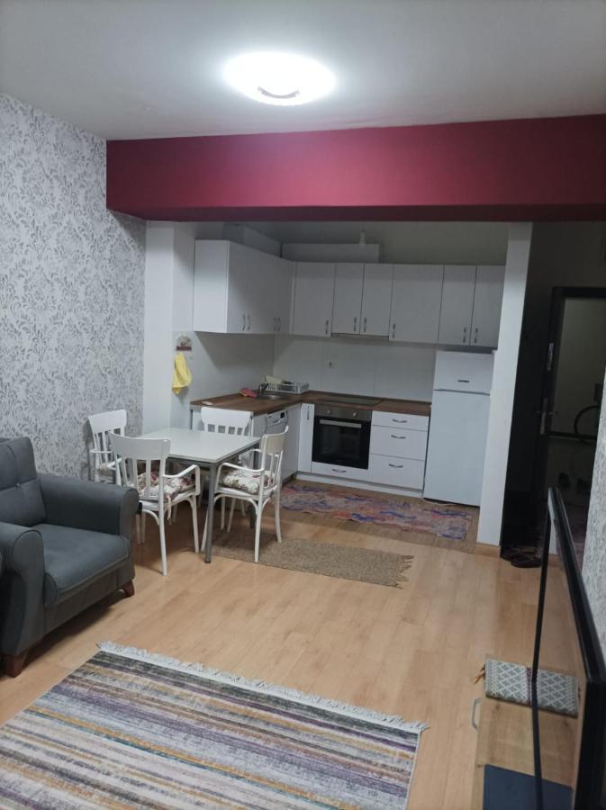 Two Rooms And Kitchen, Bathroom With Balcony Apartment Üsküp Dış mekan fotoğraf